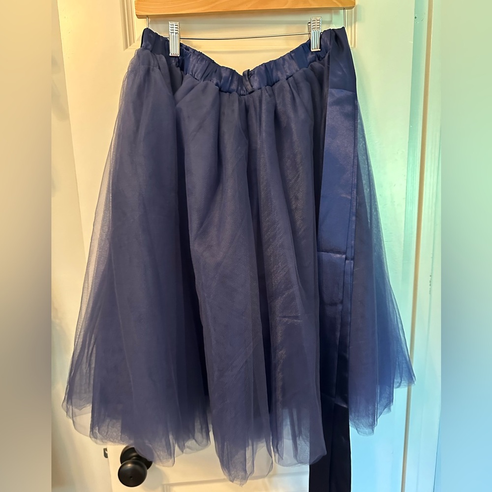 Blue Tulle Skirt - Picture 2 of 3